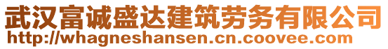 武汉富诚盛达建筑劳务有限公司