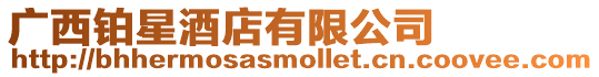 廣西鉑星酒店有限公司