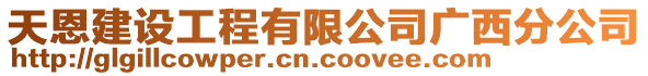 天恩建設(shè)工程有限公司廣西分公司