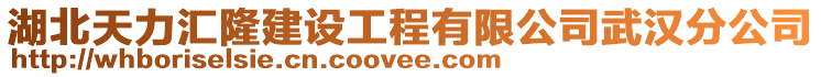 湖北天力匯隆建設工程有限公司武漢分公司