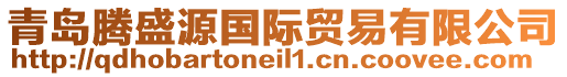 青島騰盛源國際貿易有限公司