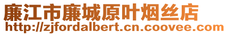 廉江市廉城原葉煙絲店