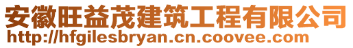 安徽旺益茂建筑工程有限公司