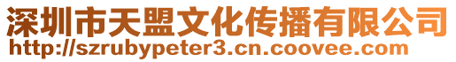 深圳市天盟文化傳播有限公司