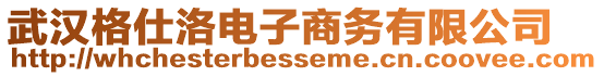 武汉格仕洛电子商务有限公司