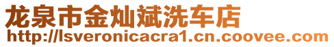 龍泉市金燦斌洗車店