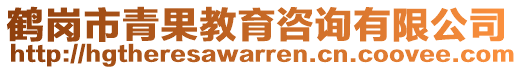 鶴崗市青果教育咨詢(xún)有限公司