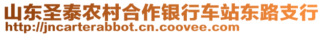 山東圣泰農(nóng)村合作銀行車站東路支行