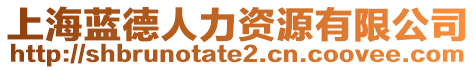 上海藍(lán)德人力資源有限公司