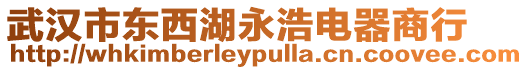 武漢市東西湖永浩電器商行
