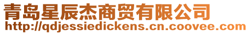 青島星辰杰商貿有限公司