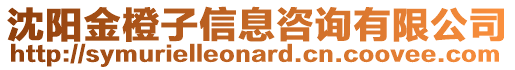 沈陽金橙子信息咨詢有限公司
