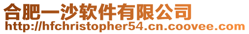 合肥一沙軟件有限公司