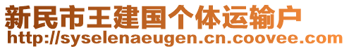 新民市王建國個體運輸戶