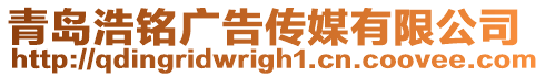 青島浩銘廣告?zhèn)髅接邢薰? style=