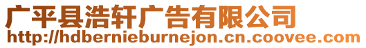 廣平縣浩軒廣告有限公司