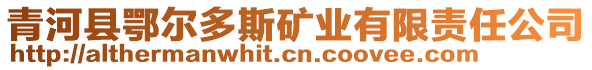 青河縣鄂爾多斯礦業(yè)有限責任公司