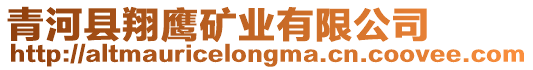 青河縣翔鷹礦業(yè)有限公司