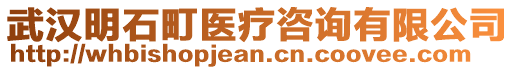 武漢明石町醫(yī)療咨詢有限公司