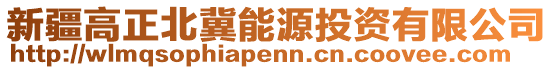 新疆高正北冀能源投資有限公司