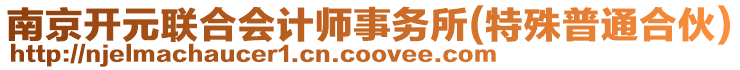 南京開元聯(lián)合會計師事務所(特殊普通合伙)