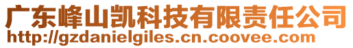 廣東峰山凱科技有限責(zé)任公司
