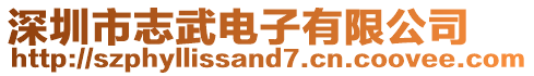 深圳市志武電子有限公司