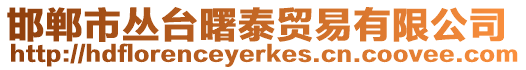 邯鄲市叢臺曙泰貿易有限公司