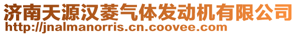 濟南天源漢菱氣體發動機有限公司