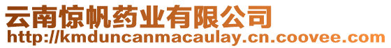 云南驚帆藥業有限公司