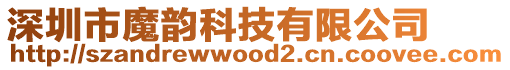 深圳市魔韻科技有限公司