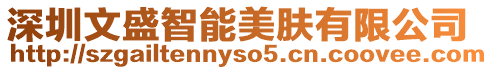 深圳文盛智能美膚有限公司
