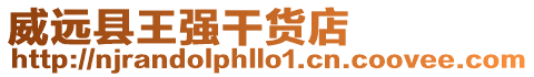 威遠縣王強干貨店