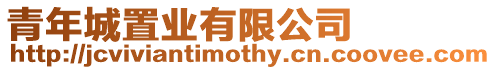 青年城置業有限公司