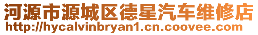 河源市源城區(qū)德星汽車維修店
