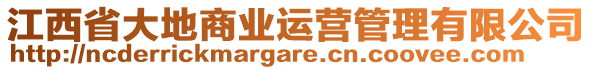 江西省大地商業運營管理有限公司