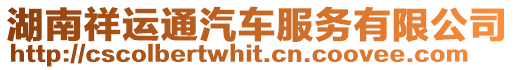 湖南祥運通汽車服務有限公司