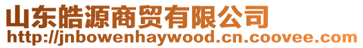 山東皓源商貿有限公司