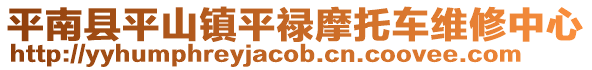 平南縣平山鎮(zhèn)平祿摩托車維修中心