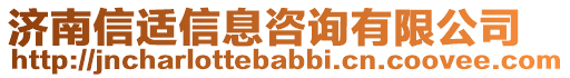 濟南信適信息咨詢有限公司