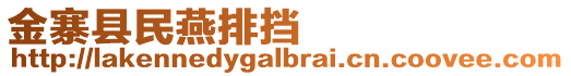 金寨縣民燕排擋