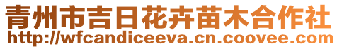 青州市吉日花卉苗木合作社