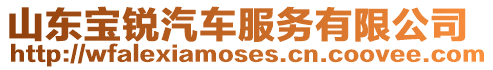 山東寶銳汽車(chē)服務(wù)有限公司