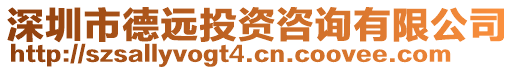 深圳市德遠投資咨詢有限公司