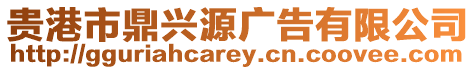 貴港市鼎興源廣告有限公司