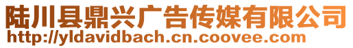 陸川縣鼎興廣告傳媒有限公司