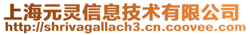 上海元靈信息技術有限公司