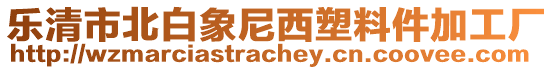 樂清市北白象尼西塑料件加工廠