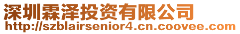 深圳霖澤投資有限公司