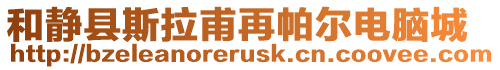 和靜縣斯拉甫再帕爾電腦城